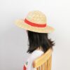 One Piece Straw Hat Luffy: Authentic Weaved Cosplay Hat Cosplay 47