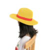 One Piece Straw Hat Luffy: Authentic Weaved Cosplay Hat Cosplay 46